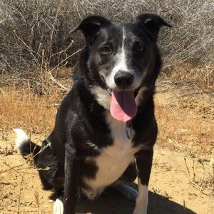 Meet your Posher, Avery